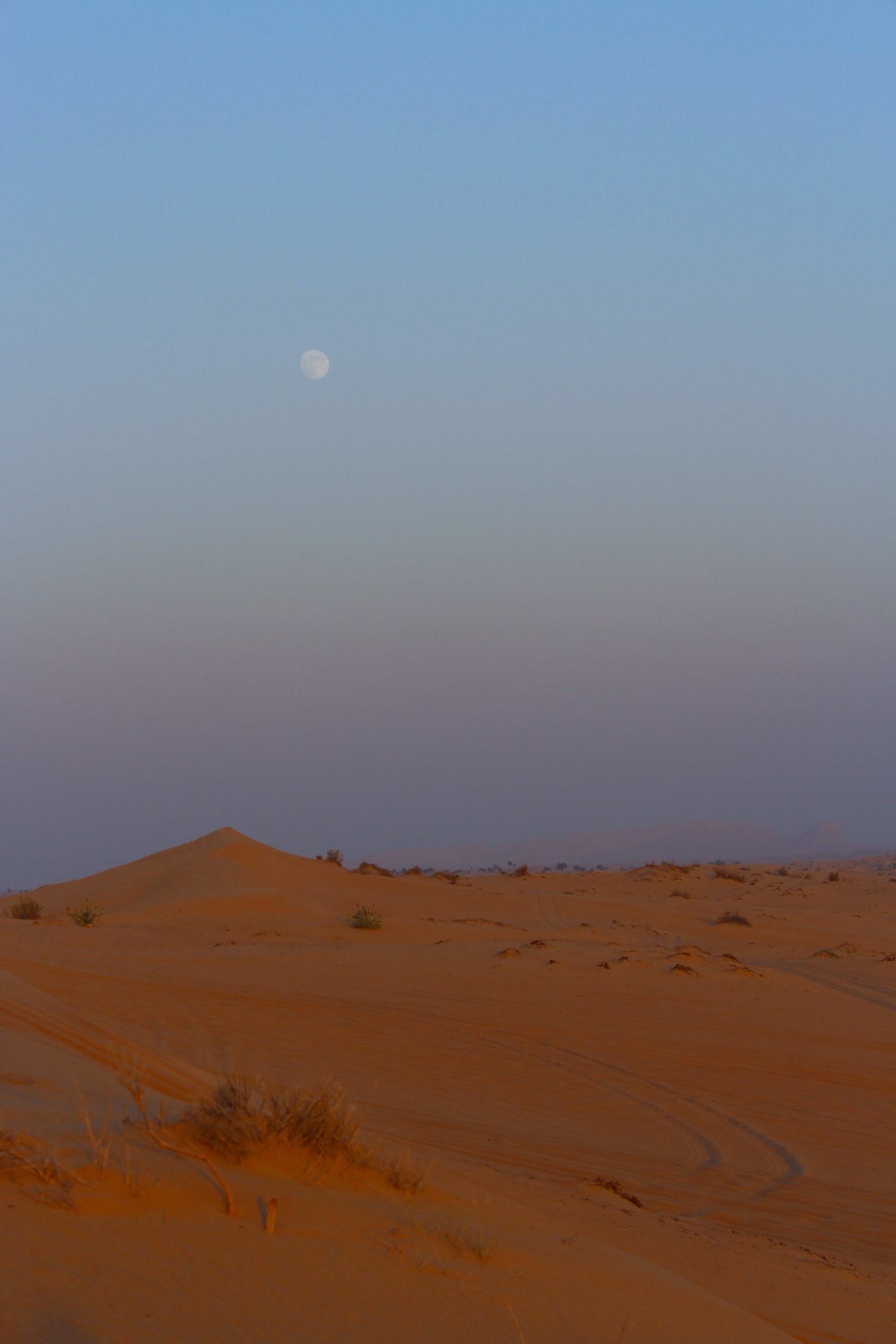 Desert Moonrise