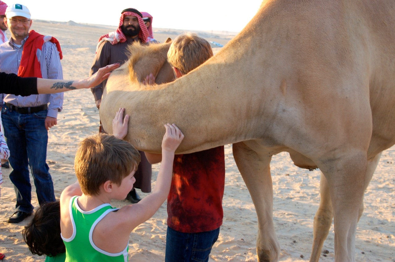 Camel farm 2014 trip KL (82)